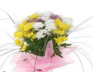 Buchet de margarete 