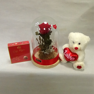 Cúpula con rosa eterna bombones y peluche