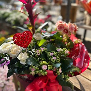 Cesta "Amor Colorido"