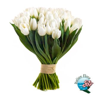 Bouquet di tulipani bianchi