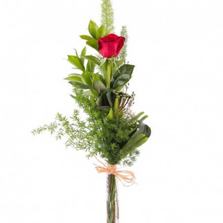 Rosa roja.