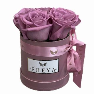 Cutie 5 trandafiri Moody Blue