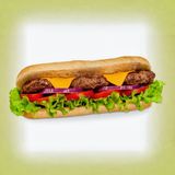 Sandwich Viande Hachée + Frites