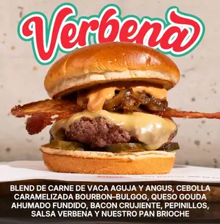 HAMB VERBENA