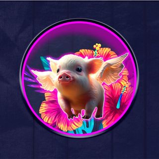 Botella de agua (500ml)