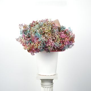 Ramo de Paniculata de Colores - BK