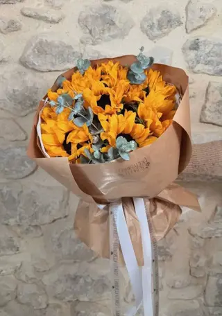 Ramo El Sol