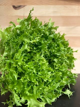 Indivia riccia al kg