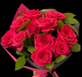 11 Big Cyclamen Roses