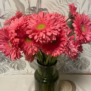 GERBERA ROSA
