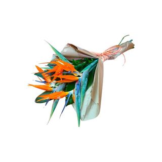 Estrelícias