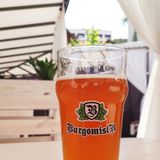 Burgomistr Ipa (1л)