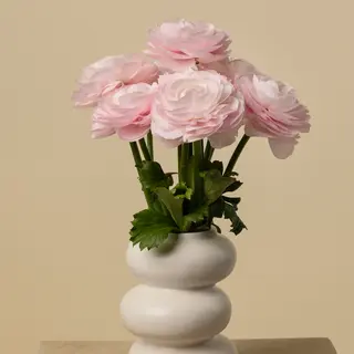 Ramo de 5 ranunculus rosas