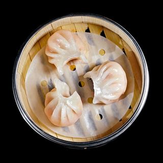 67 Gyoza ebi 4 pezzi