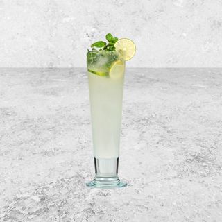 Regular Mojito