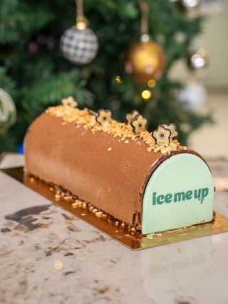 Bûche moyen modèle  Noisette Chocolat