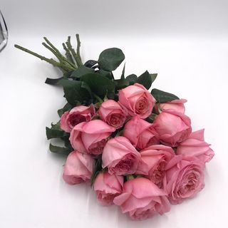 ramo premium  de osas Pink expresión 6ud