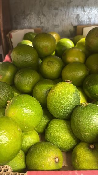 Lime,limone, lima verde 1 kg