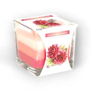 Vela Colorida Flor de Cacto