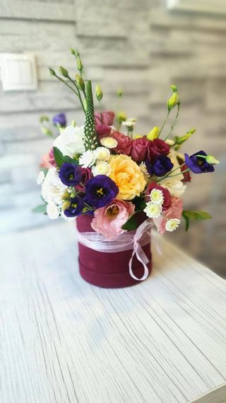 MIKS CVEĆE U PLIŠANOJ KUTIJI SREDNJI