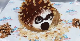 Semifreddo riccio 1 kg