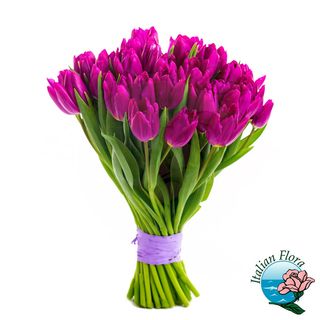 Bouquet di tulipani viola