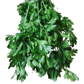 Zielona natka pietruszki, pęczek.