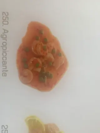 250.Gamberi agropiccante