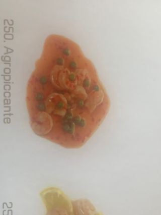 250.Gamberi agropiccante