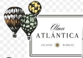 Vino albariño ( 75 cl)