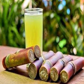 Succo di canna