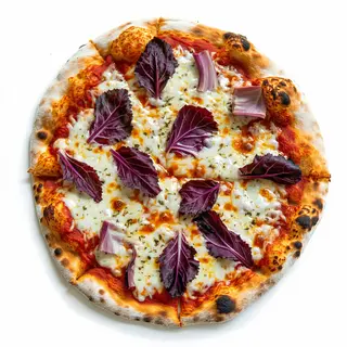 Radicchio