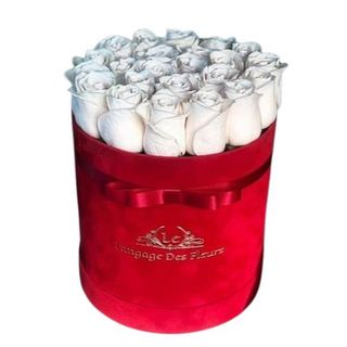 Caja Con Rosas Blancas M12