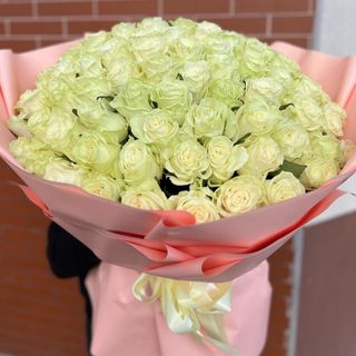 50 rose blance lux 36