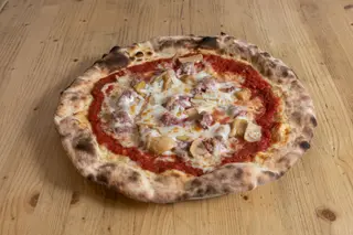 34. Senese