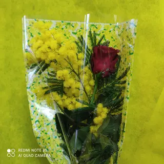 Rosa con mimosa 
