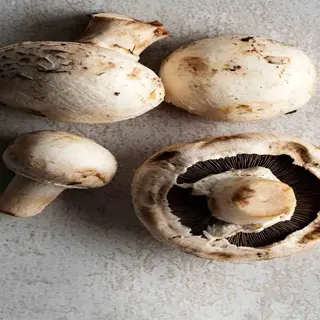 Mushroom Whole