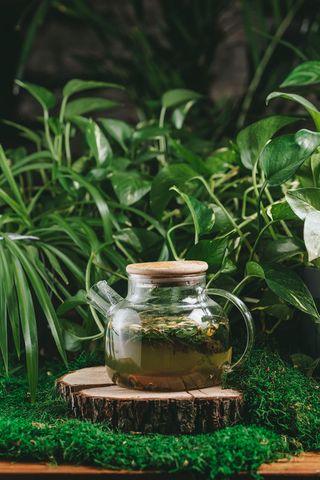 ЧАЙ  ЛЕСНОЙ  (700 мл.)