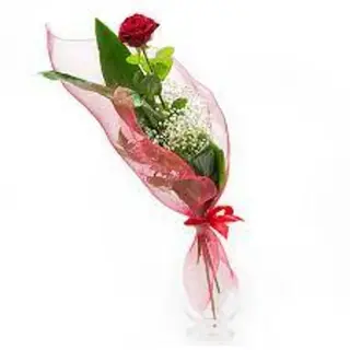 1 rosa rossa