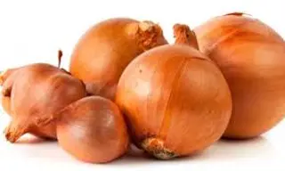 Cipolla