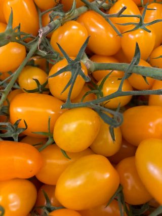 Pomodorino giallo - gr500