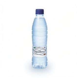 Agua (500 Ml.)