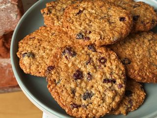 Вівсяне печиво з журавлиною (23g)