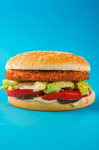 СД Гамбургер кур