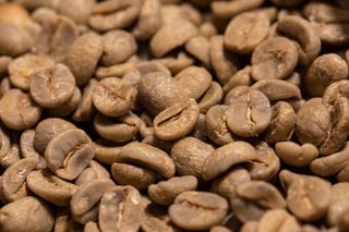 caffè TOSTATO FRESCO Brasil Santos Cerrado 250 grammi