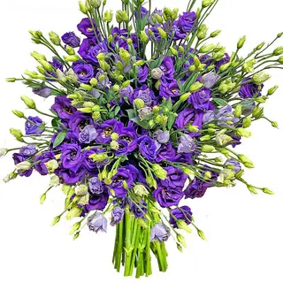 Felicity (fiori Dall'Olanda )mazzo grande