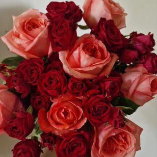 Roses Bouquet