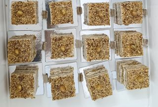 Courant D'air 5.5 Cm