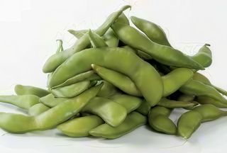 N.181 Edamame