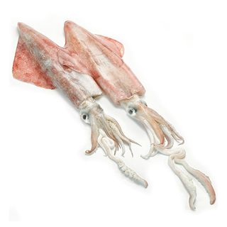 Calamar De Potera 1 Kg.